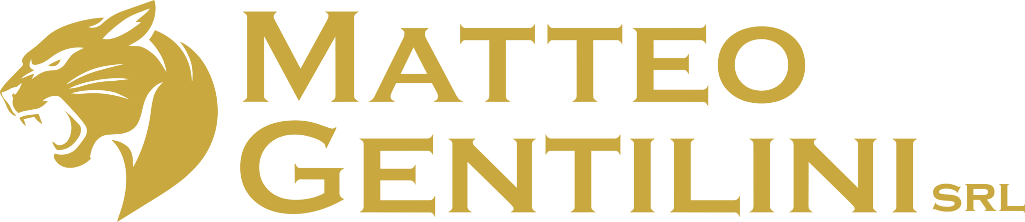 Matteo Gentilini S.r.l.