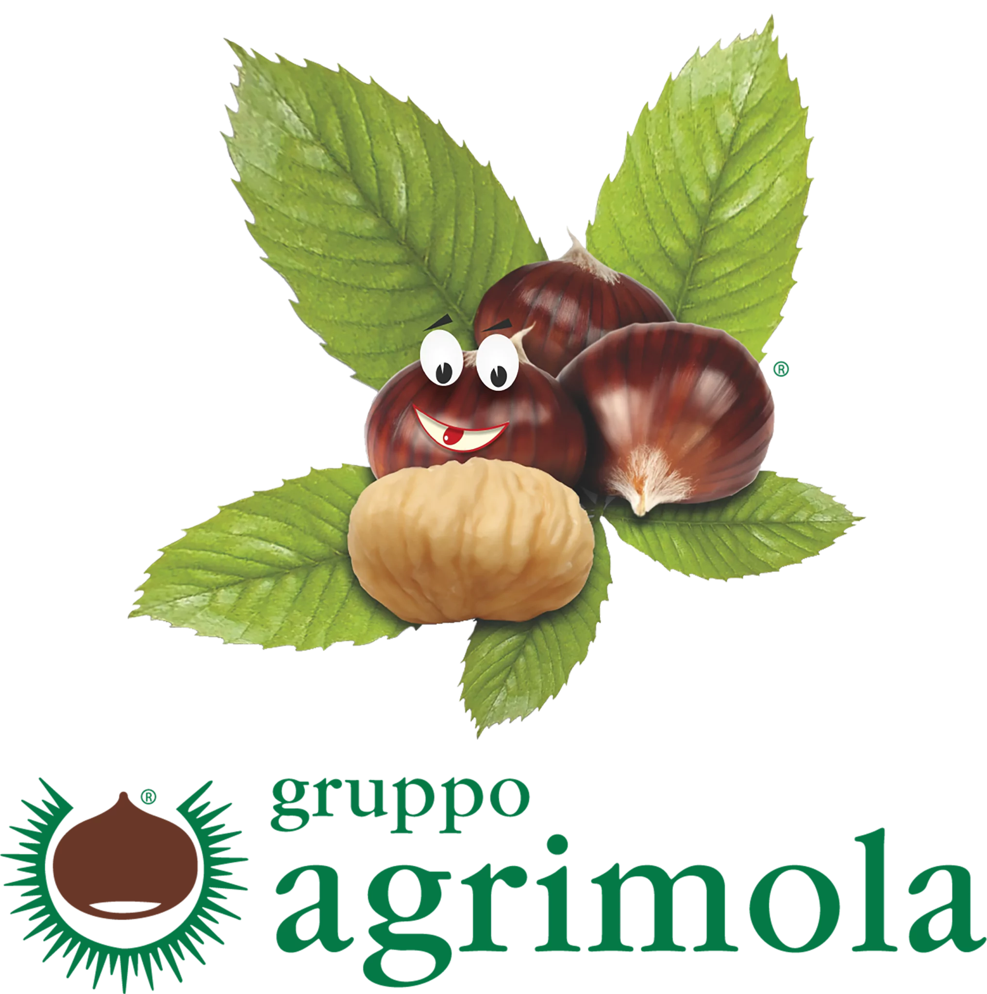 Gruppo Agrimola