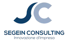 Segein Consulting