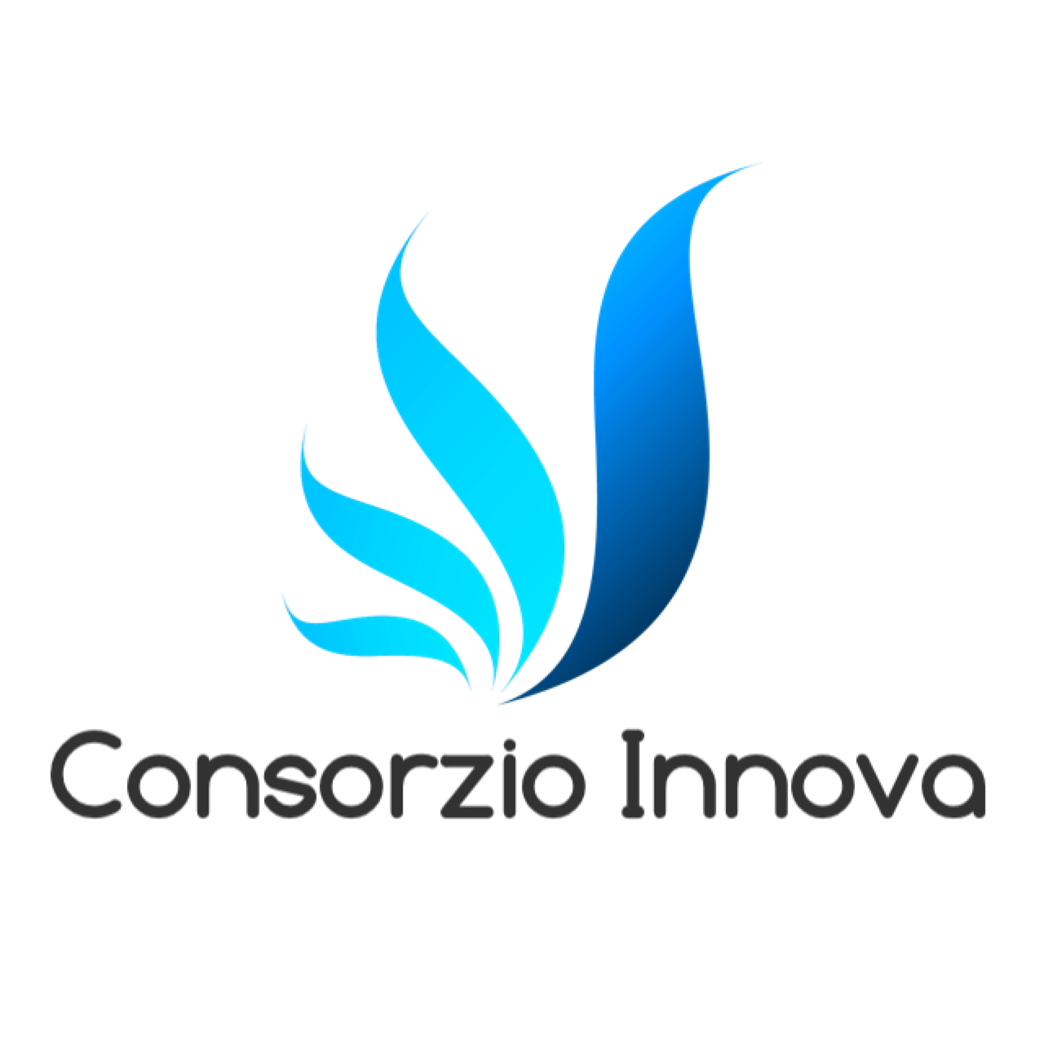 Consorzio Innova